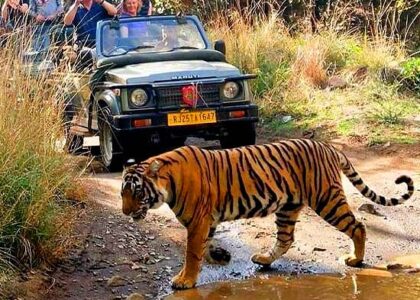 rajasthan ranthambore motorbike tour