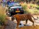 rajasthan ranthambore motorbike tour
