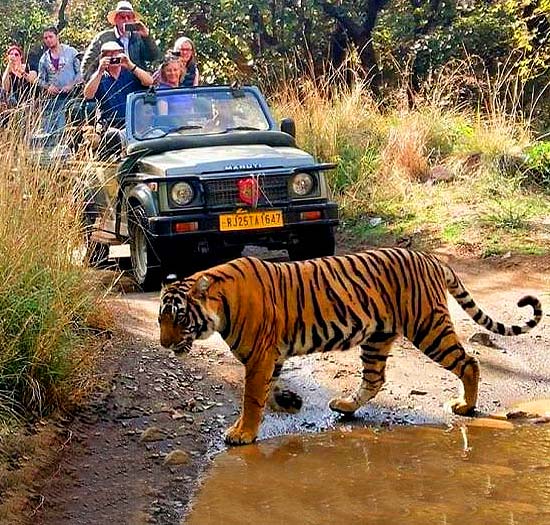 rajasthan ranthambore motorbike tour